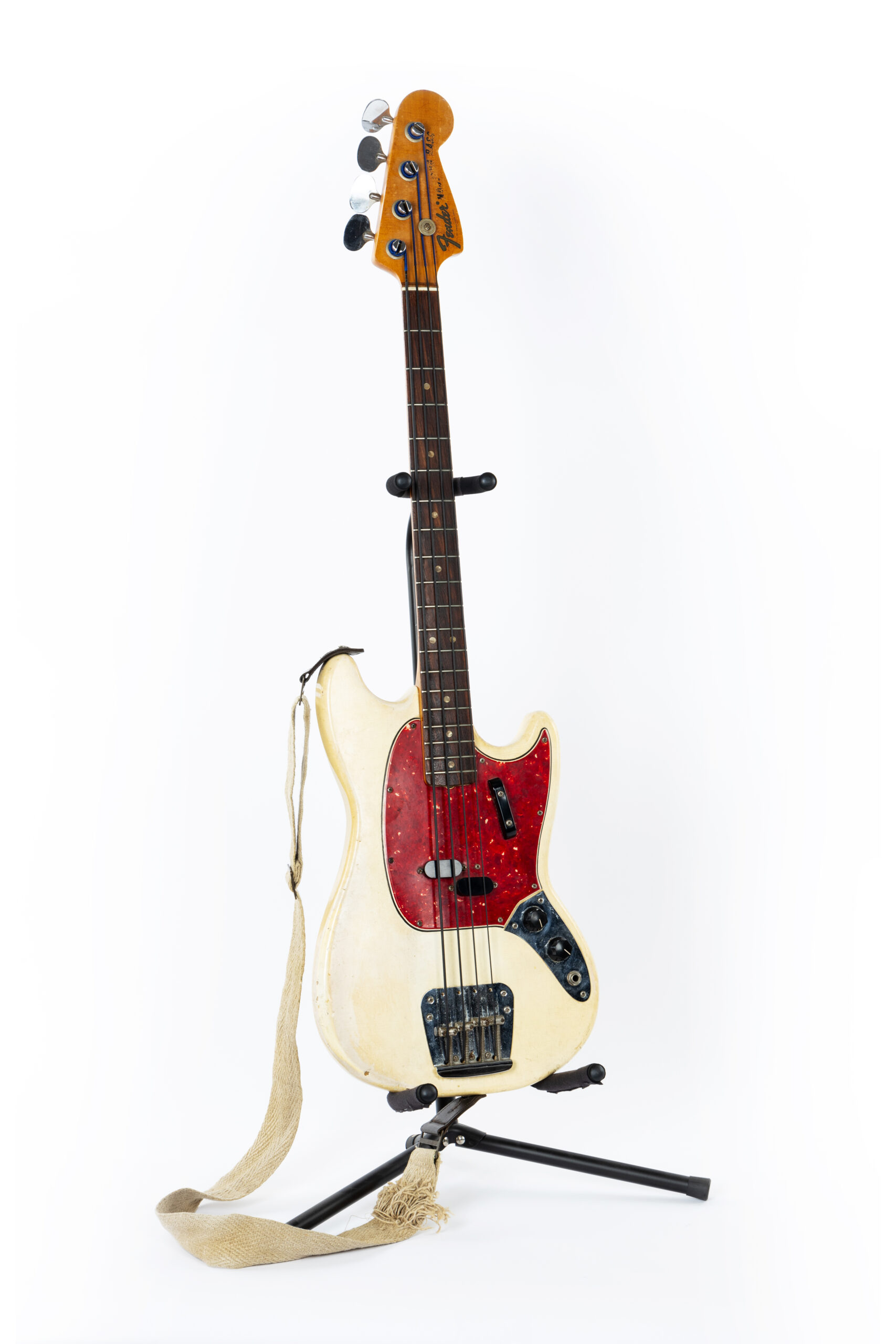 Shelby Lynne Mustang Base